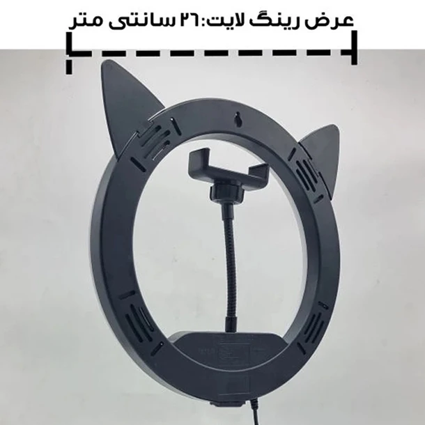 5ZBMWgU6