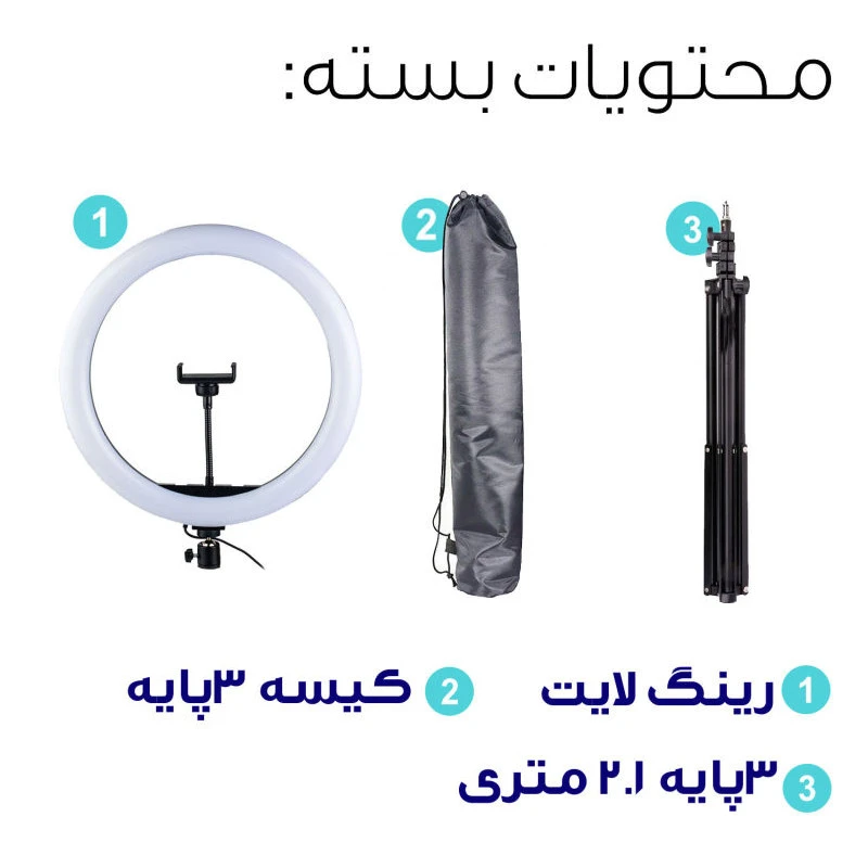 GEOX7mp6
