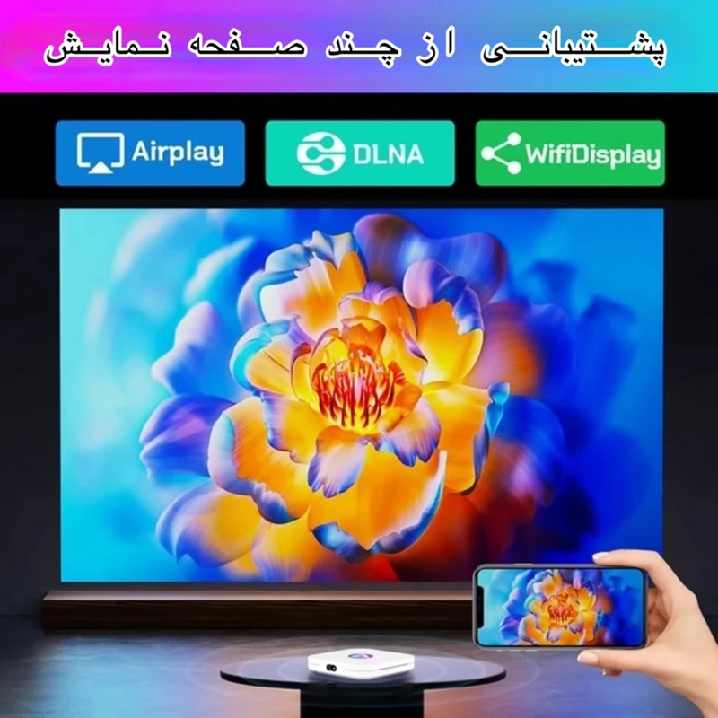 QxeQMqF7
