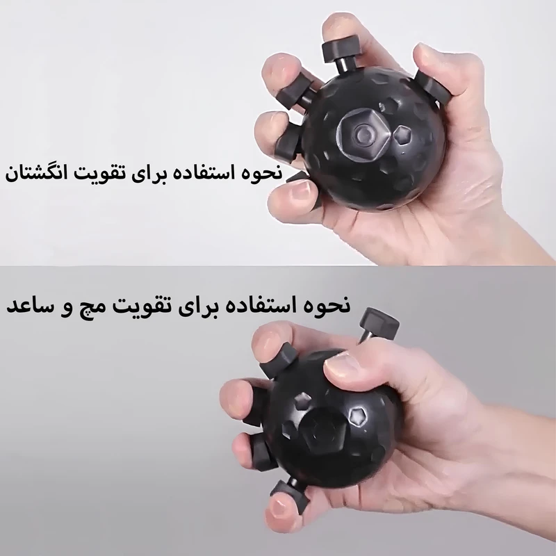 REoVXLYR
