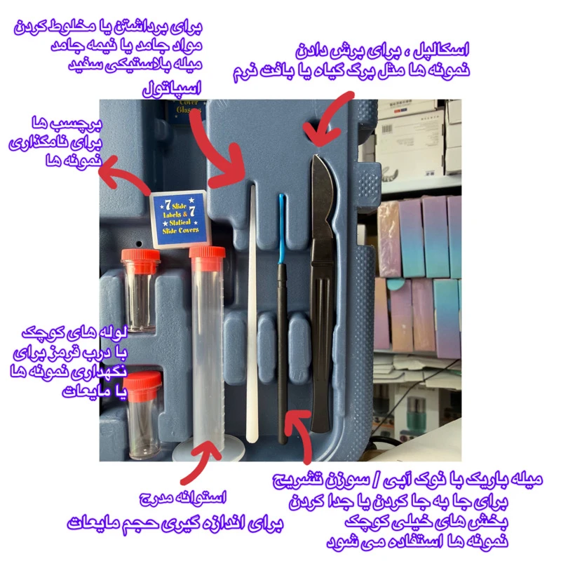 gSDeGFto